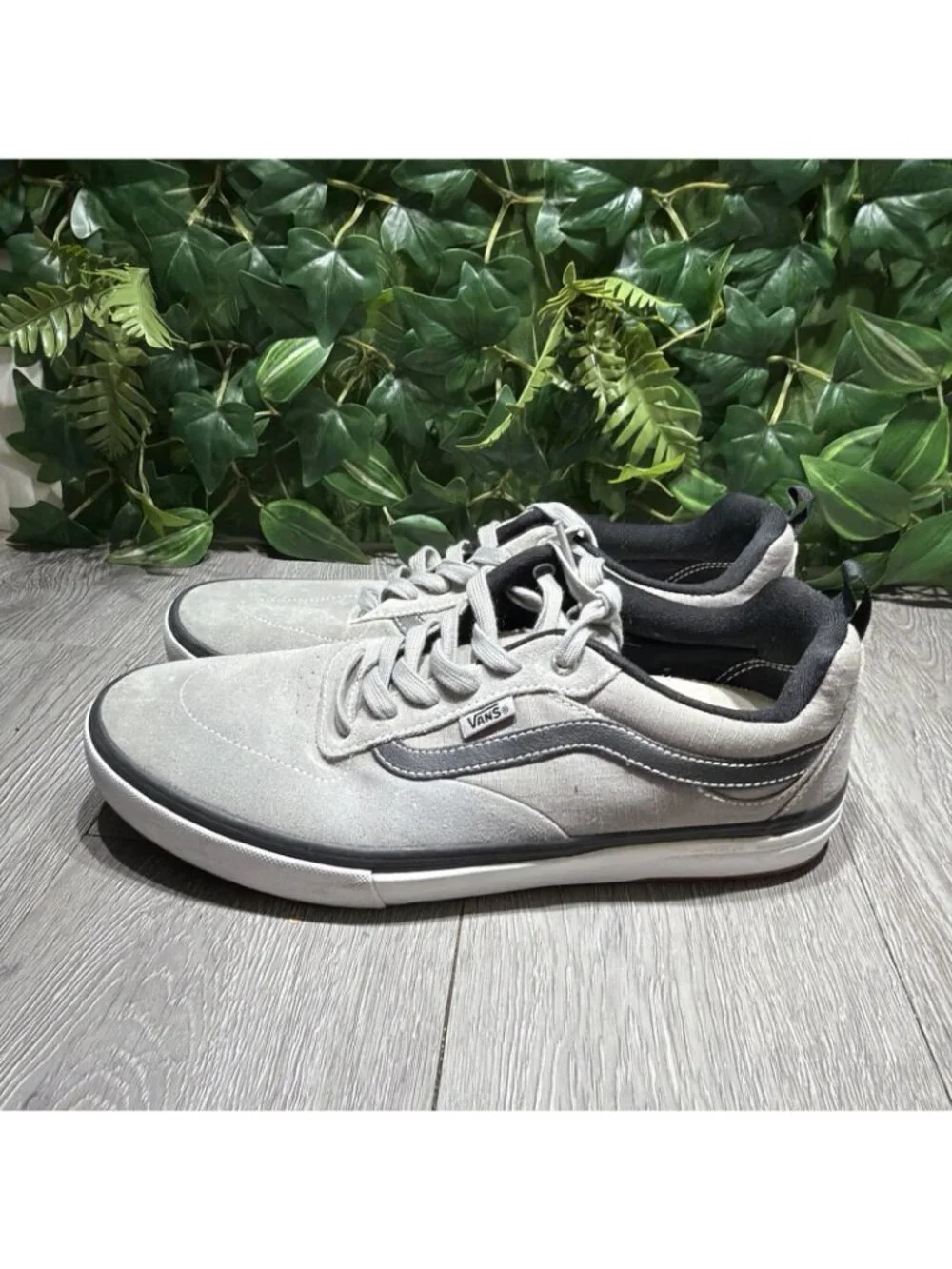 Vans please check